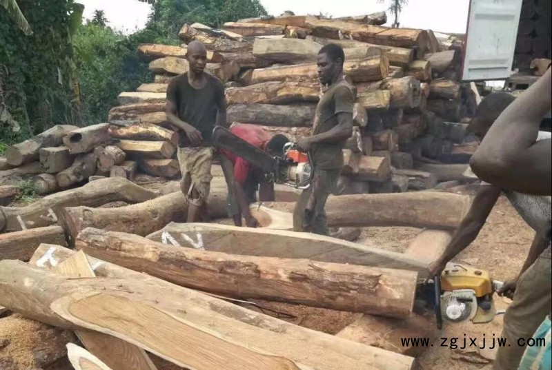 尼日利亞的刺猬紫檀