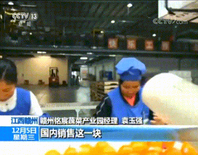 贛州銘宸蔬菜產業園與俄羅斯簽訂了5億元的出口訂單