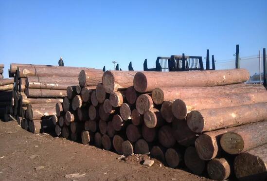 中高端紅木正處價值洼地,需求量銳減