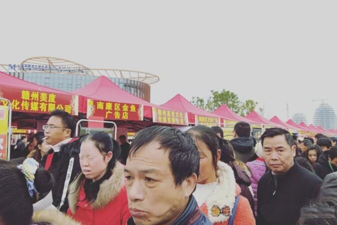 南康2019年春季就業招聘大會在家居小鎮開幕現場