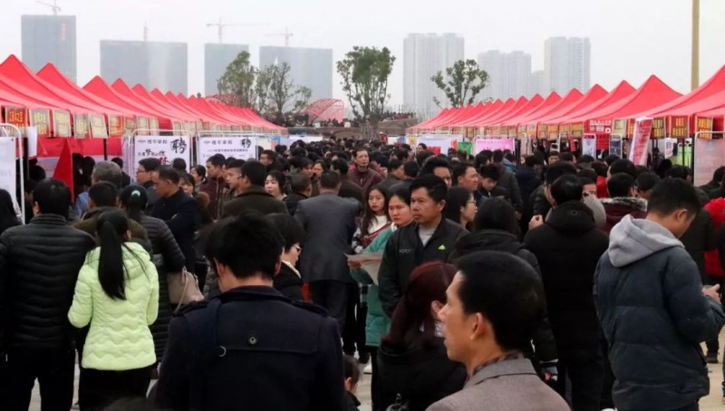 大家在找尋合適的工作4