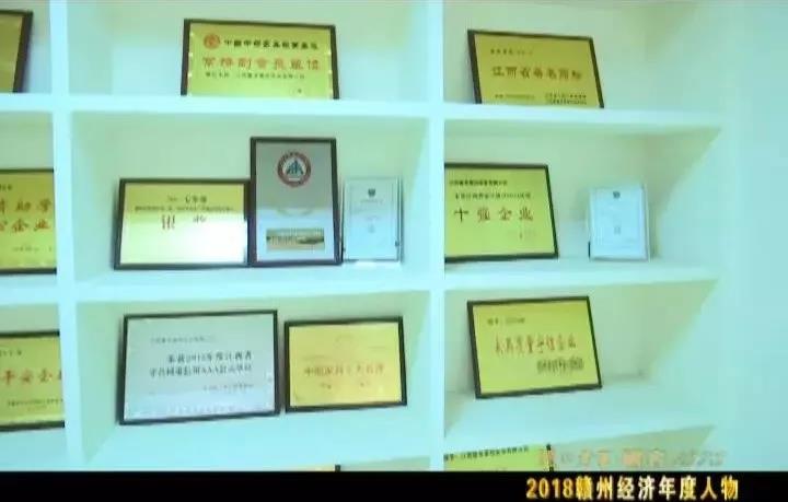 江西富龍皇冠實業有限公司資質