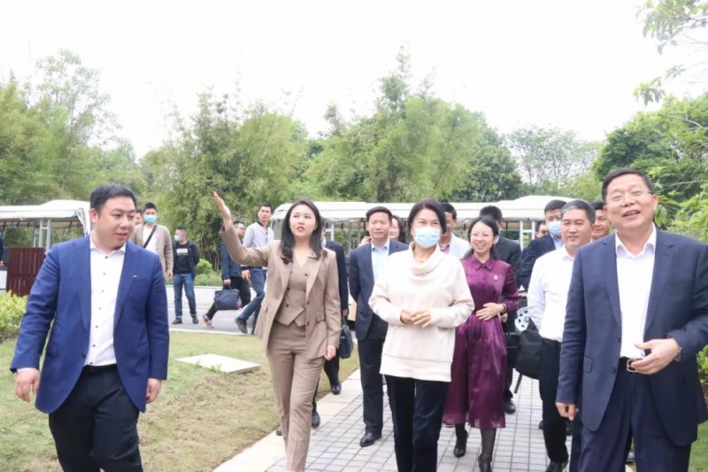 格力電器董事長董明珠考察南康家具產業3