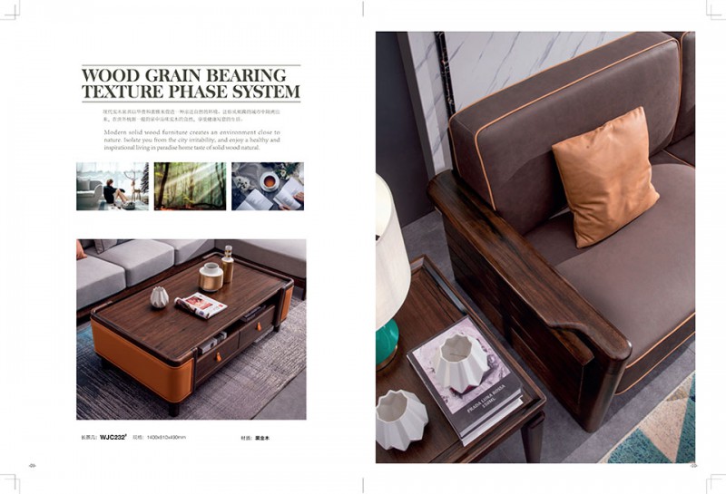 南康華強世家德式輕奢系列家具6