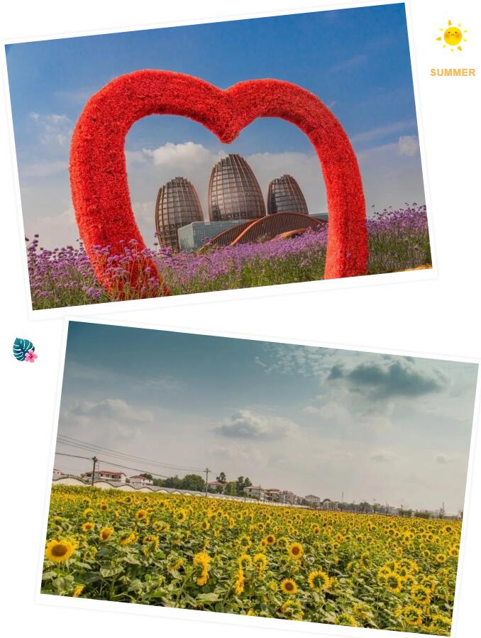 南康家居特色小鎮(zhèn)美景2