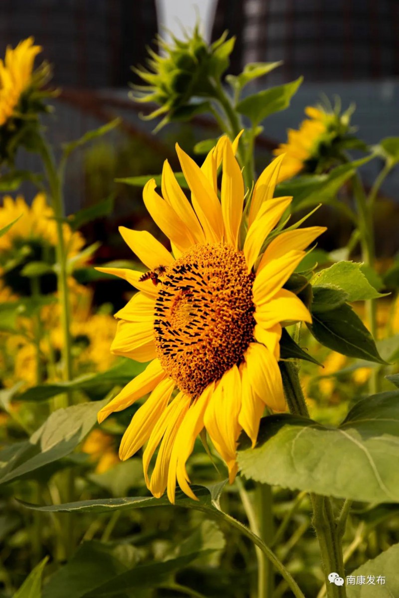 南康家居小鎮(zhèn)8