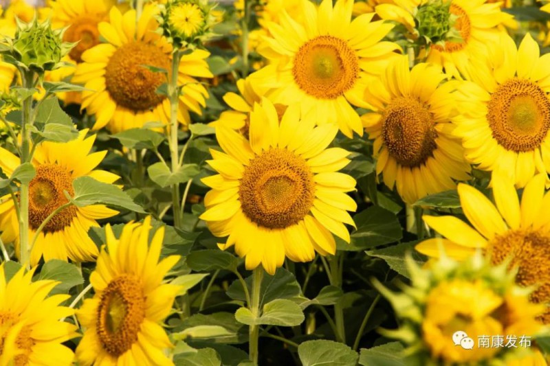 南康家居小鎮(zhèn)7