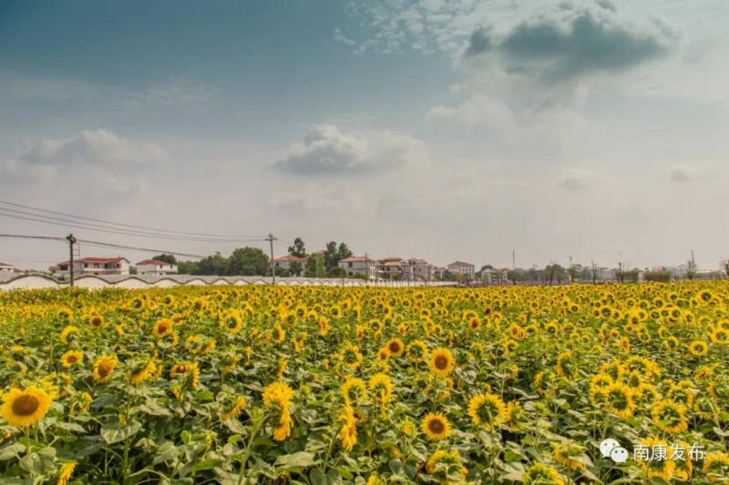 南康家居小鎮(zhèn)6