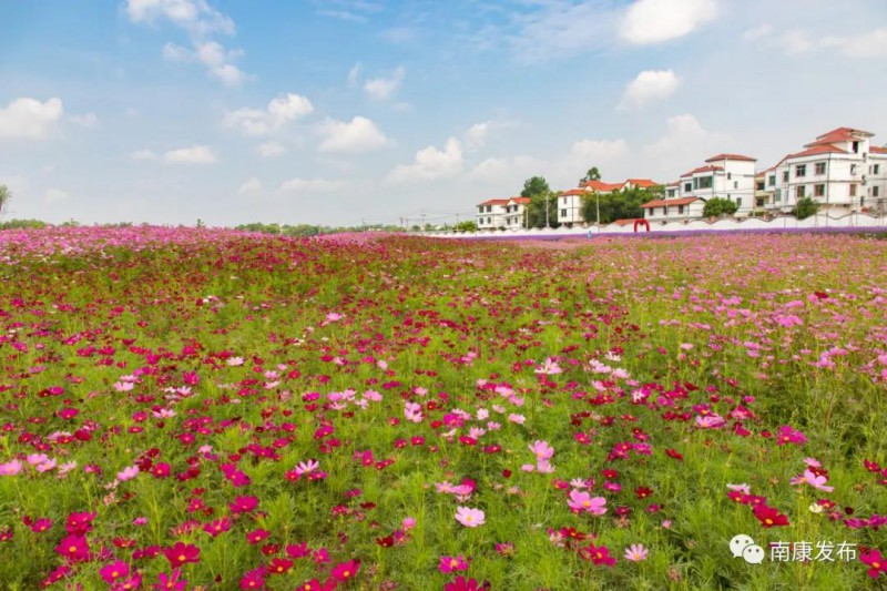 南康家居小鎮(zhèn)5