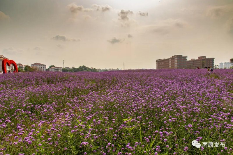 南康家居小鎮(zhèn)3