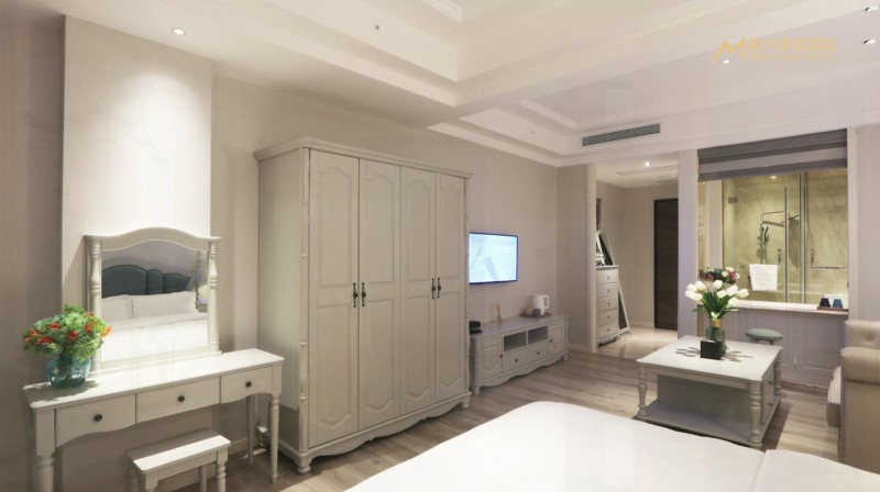 江西贛州明大家居主題酒店10