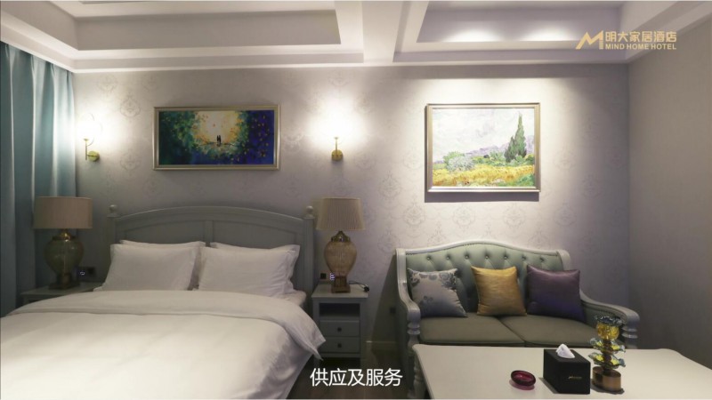 江西贛州明大家居主題酒店11