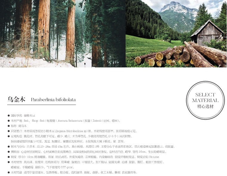 極美時尚家具介紹2