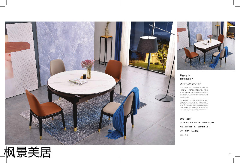 江西南康楓景美居輕奢極簡餐桌椅7