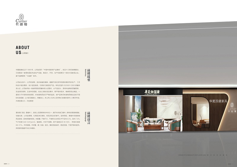 華夏國康卡迪婭輕奢極簡家具2