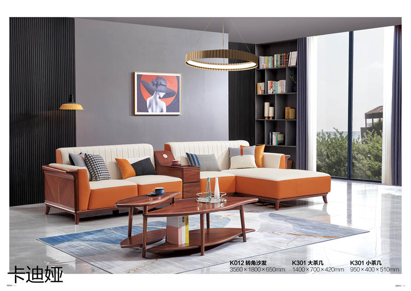 華夏國康卡迪婭輕奢極簡家具6