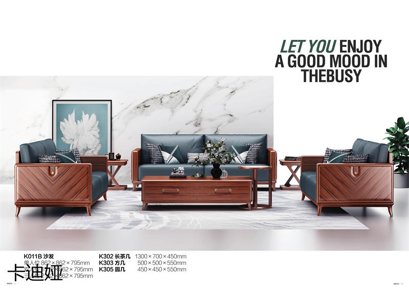 華夏國康卡迪婭輕奢極簡家具9