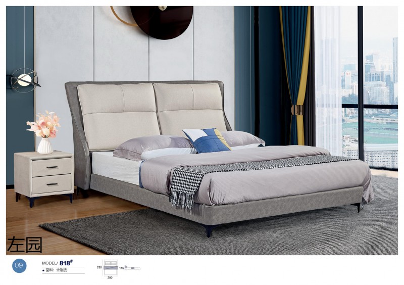 左園軟體床10