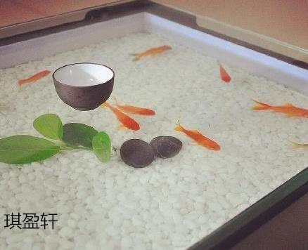 江西南康樹(shù)脂原木大板11