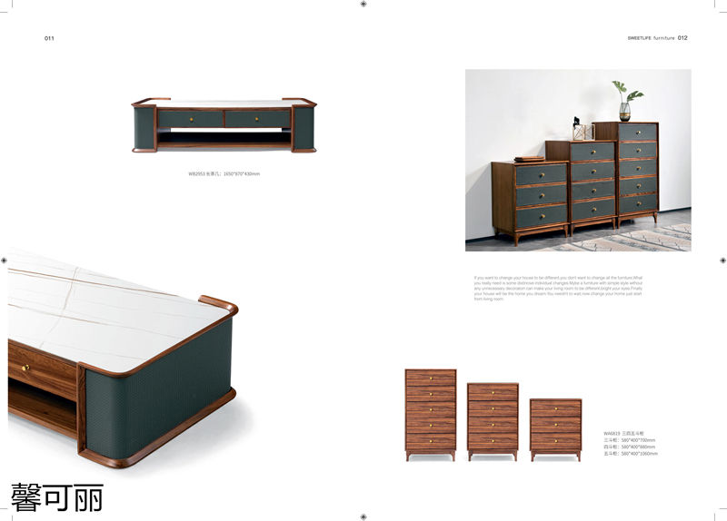 馨可麗現(xiàn)代極簡(jiǎn)輕奢烏金木家具5