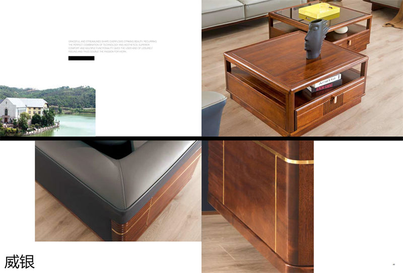 威銀家具&middot;徳尚先生 徳式現代非洲金絲木家具4