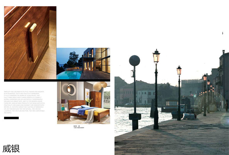 威銀家具&middot;徳尚先生 徳式現代非洲金絲木家具37