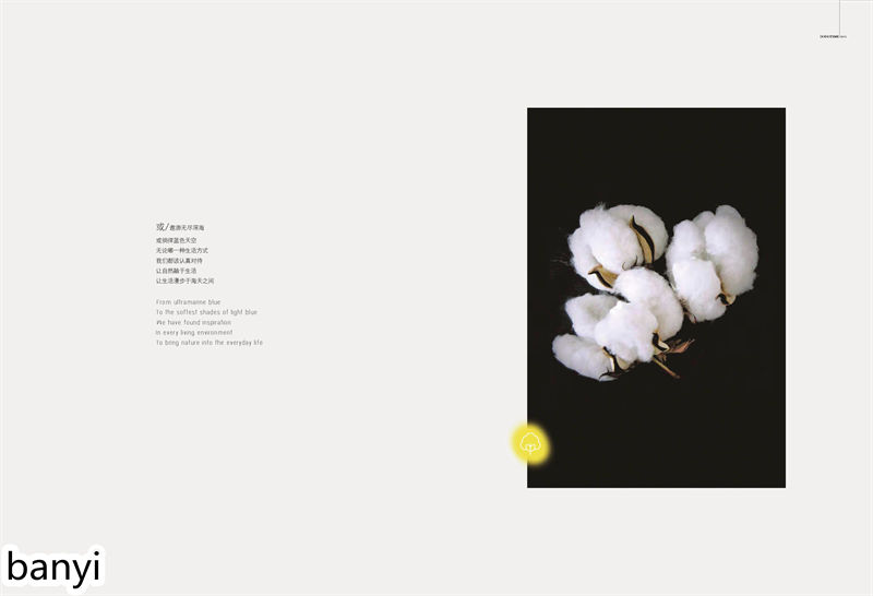 現(xiàn)代實(shí)木風(fēng)格南美胡桃木家具13