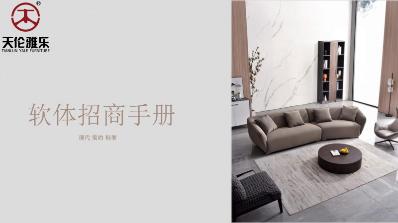 天倫雅樂現代簡約輕奢軟體家具1