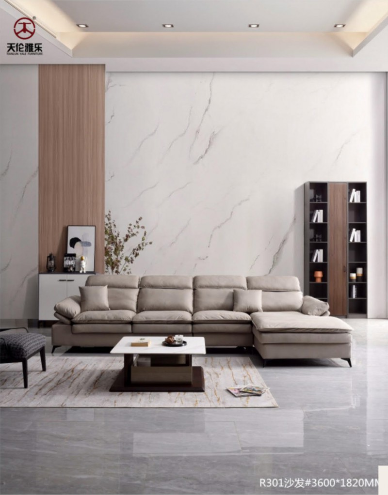 天倫雅樂現代簡約輕奢軟體家具3