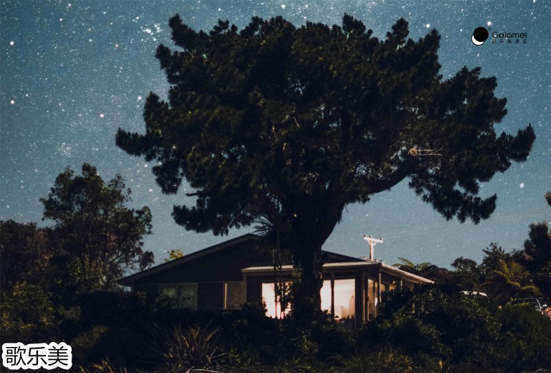 歌樂美現(xiàn)代極簡(jiǎn)白蠟?zāi)炯揖?9