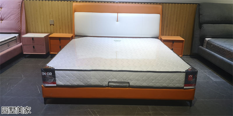 園墅美家極簡輕奢軟體床實拍