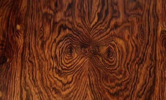 海南黃花梨 (學名：降香黃檀)