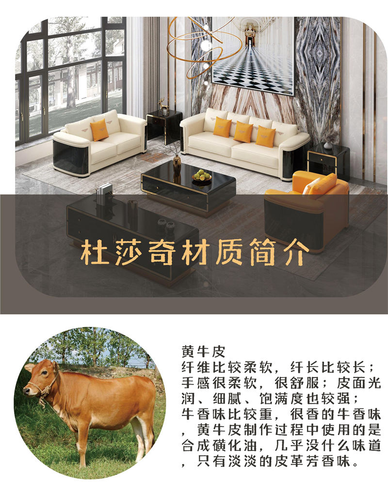 杜莎奇輕奢家具