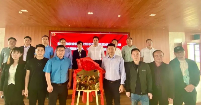 為贛州南康家具產業知識產權聯盟揭牌