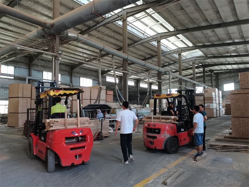 龍輝天緣床母廠家實拍