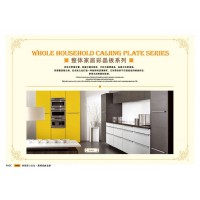 江西贛州威瑪e家全屋定制彩晶板系列