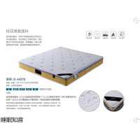 睡眠知音床墊,南康卷包壓縮床墊,贛州獨立靜音袋裝床墊,江西電商床墊、出口床墊廠家