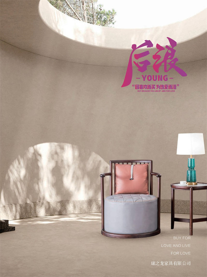 康之龍現代輕奢黑胡桃木家具