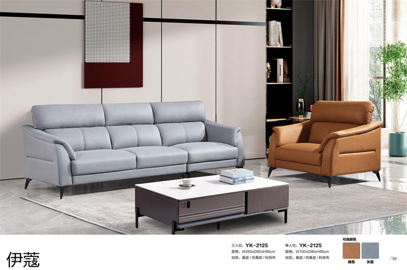 伊蔻家居 現代時尚簡約軟體沙發