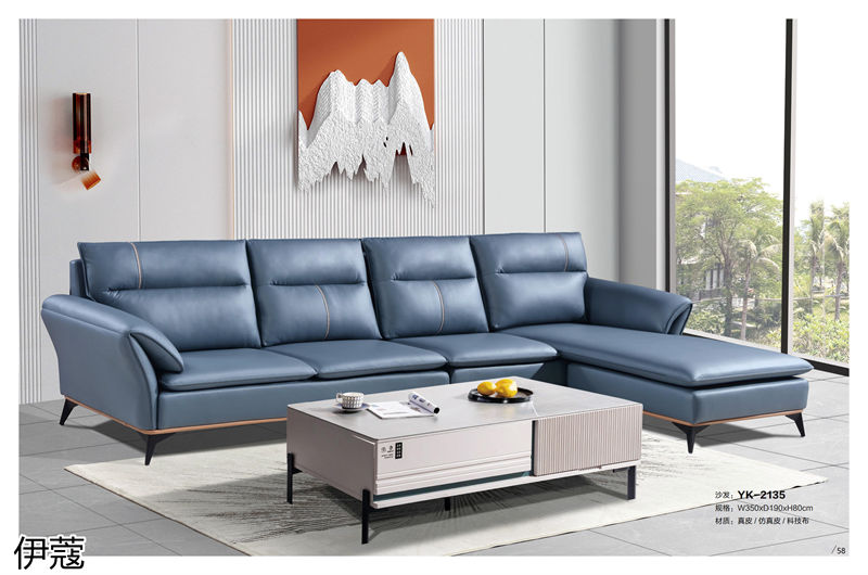 伊蔻家居 現代時尚簡約軟體沙發