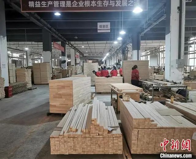 倉庫內擺放整齊的原木木料。