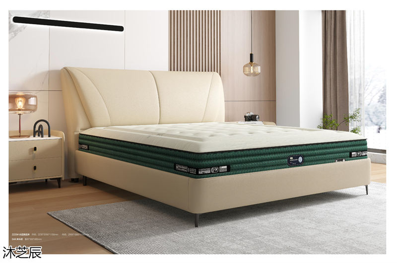 沐芝辰現(xiàn)代極簡(jiǎn)風(fēng)格軟體家具