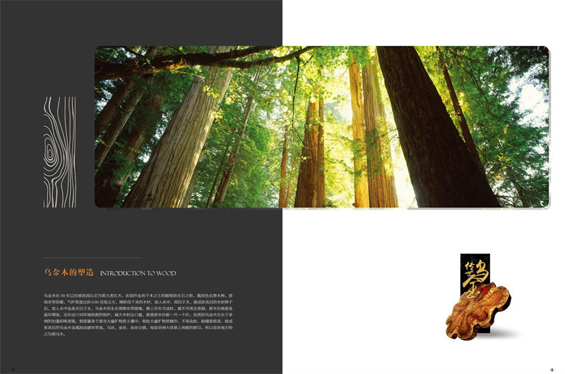 安華盛現(xiàn)代極簡烏金木家具