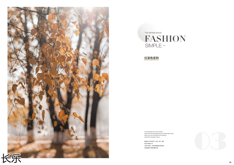 長樂實木套房家具