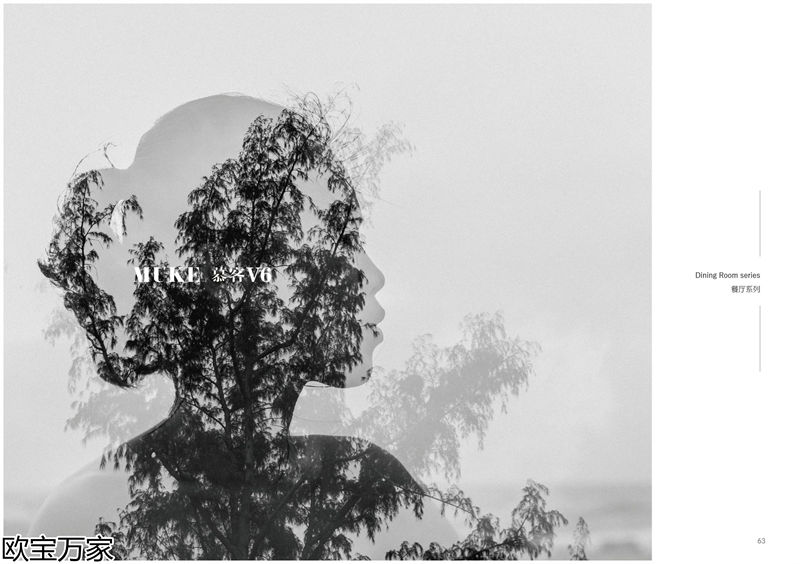 歐寶萬家·慕客V6南美黑胡桃木家具