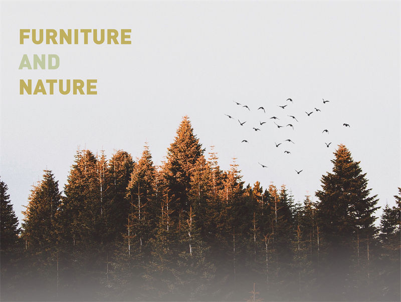 園墅美家輕奢極簡軟體家具