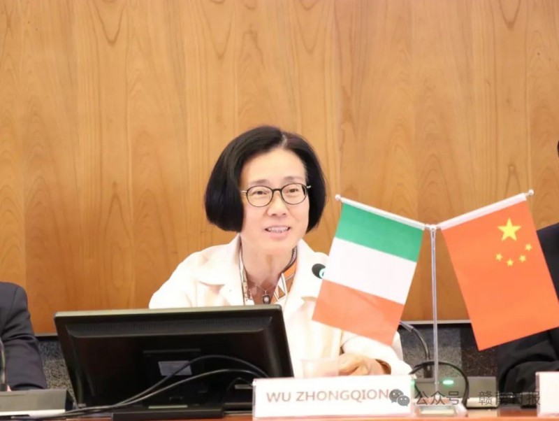 中意(江西)經貿合作交流圓桌會議舉行1